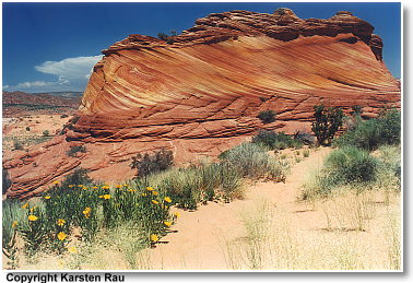 Coyote Buttes North