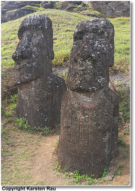 Moai Ko Kena He Roa