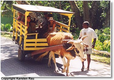 Ochsenkarrentaxi, La Digue