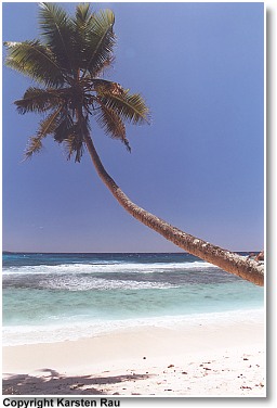 Die Anse Cocos