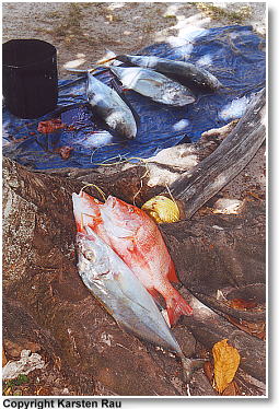 Fischmarkt