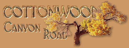 Cottonwood Canyon Road, Copyright