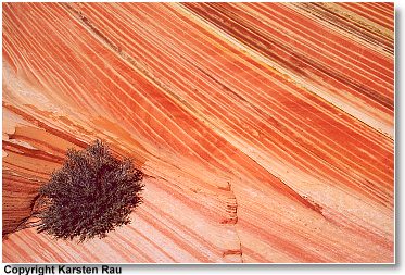 Striations, Top Rock