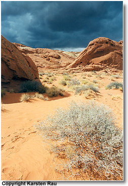 Valley of Fire