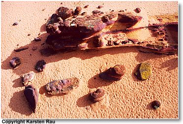 In den North Teepees