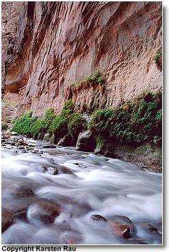 The Narrows