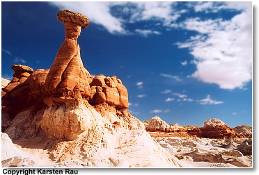 Toadstool Hoodoo