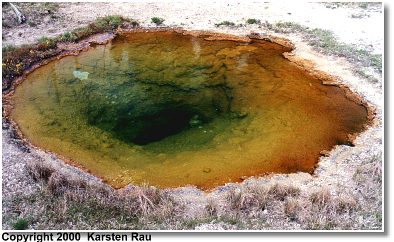 Hot Water Pool am Upper Geysir Basin