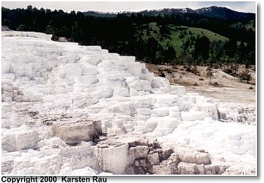 Main Terrace, Mammoth Hot Springs